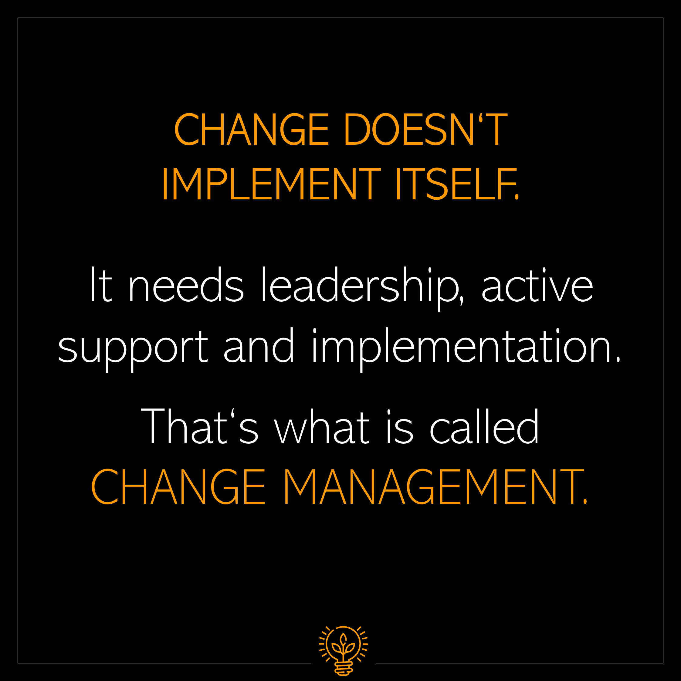 Interim and Project Management: Change Management